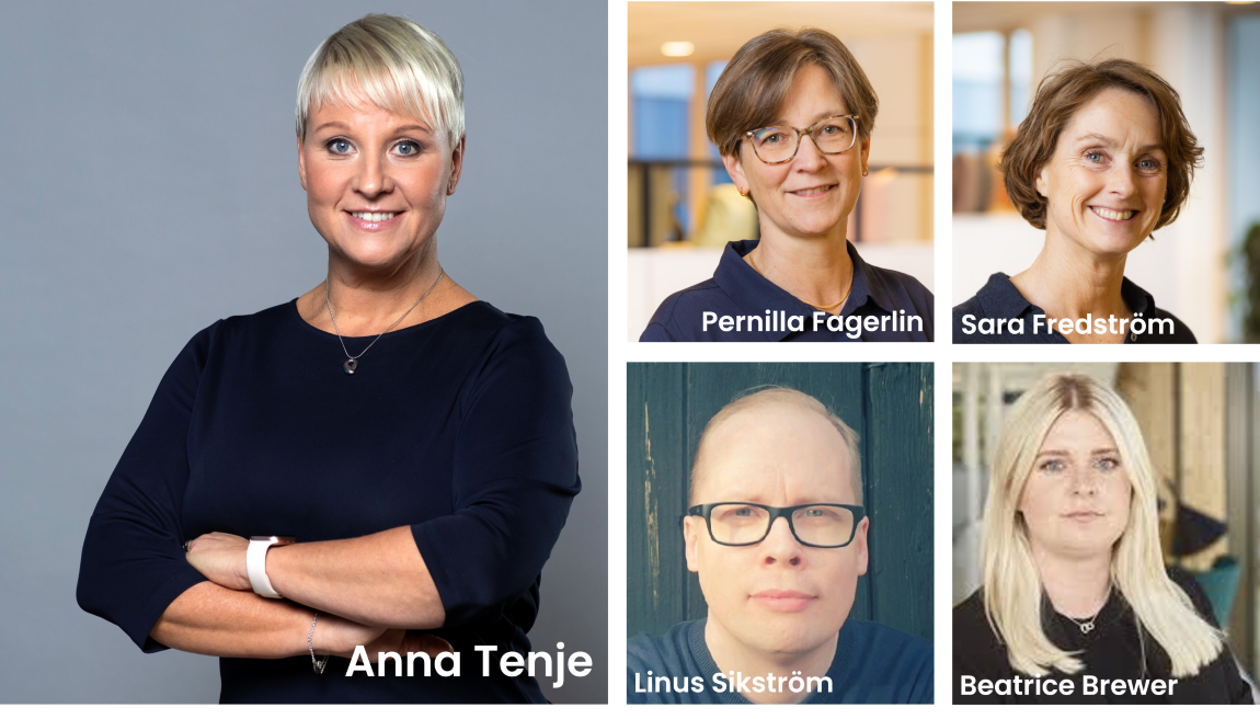 Optimistisk känsla kring en nationell nollvision